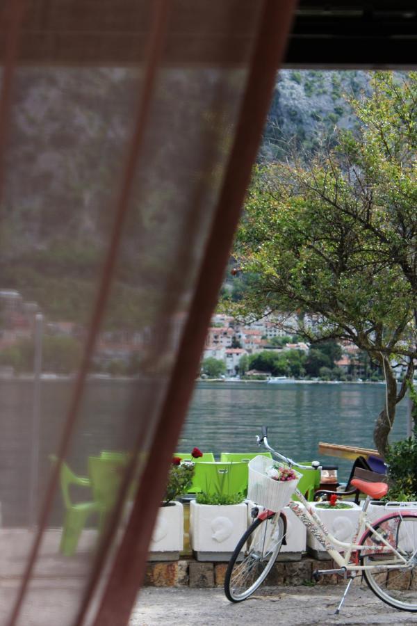 Mare E Montagna Apartment Котор Екстериор снимка